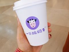 -一只酸奶牛(丹尼斯大卫城店)