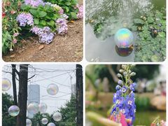 -人民公园(罗湖区)