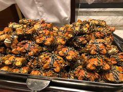 -新发展亚太JW万豪酒店·福苑咖啡厅