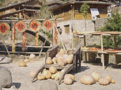 -林坑古村落