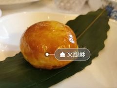云南火腿-西郊5号·Maggie 5