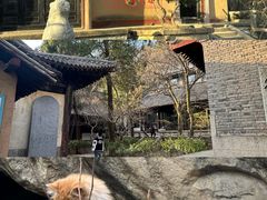 -沣峪森林公园龙潭戏水景区
