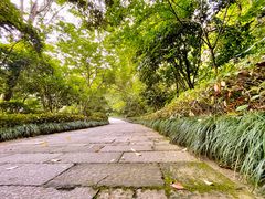 -杭州半山国家森林公园