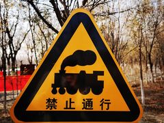 -西青郊野公园