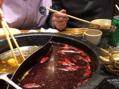 -蜀大侠火锅(建设路第五大道店)