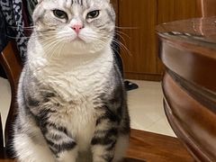 -Dreamsalad梦想轻厨(健康轻食·减脂沙拉·意面·祖庙店)