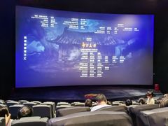 -春天国际影城(中庚漫游城杜比全景声店)