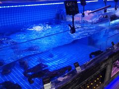 -渔民船说·北塘海鲜·天津菜·海肠捞饭(北塘古镇店)
