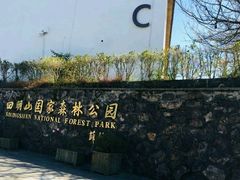 -四明山国家森林公园