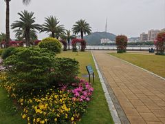 -野狸岛