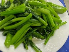 -老杨饭店(万科里店)