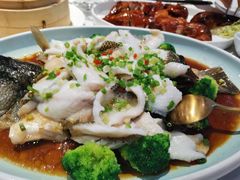 油泼鲈鱼-喜粤8号(四海唐人街店)