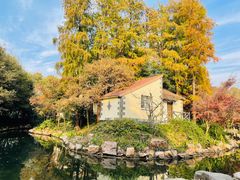 -上海共青森林公园