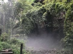 -川西竹海景区