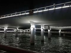 -演武大桥观景平台