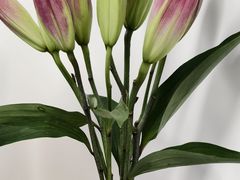 -快乐老家三鲜饺子东北菜(南六中路店)