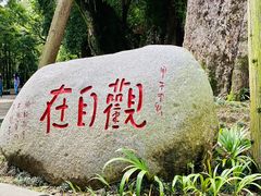 -峨眉山报国寺
