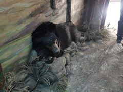 -北京动物园-畅观楼