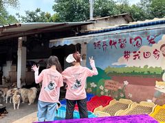 -成都爱之家动物救助中心