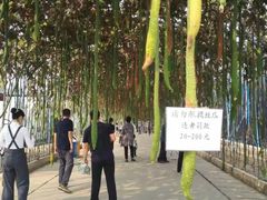 -北戴河集发农业梦想王国
