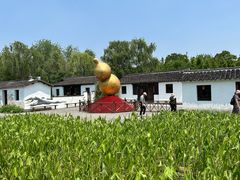 -溱湖国家湿地公园