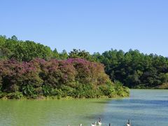 -广州白江湖森林公园