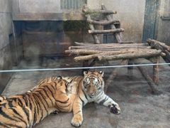 -西安秦岭野生动物园