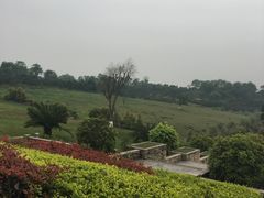 -张坝桂圆林公园