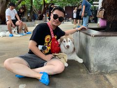 -TrueLove @ Neverland (Husky Cafe)