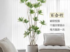 -李村大集