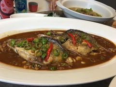 -瑞琳阿尔泰冷水鱼(于田街店)