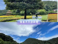 -广州市石门国家森林公园