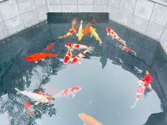 -西安市广仁寺