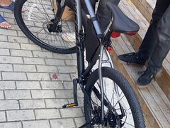 -道路口单车爱瓦士dahon大行