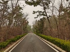-棒棰岛宾馆景区