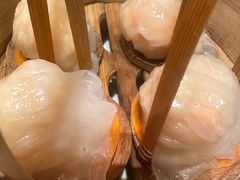 -金鼎轩(方庄天坛店)
