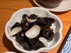 百合木耳-庆春朴门