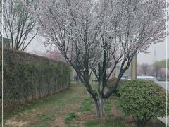 -灞柳驿酒店(香湖湾地铁站店)