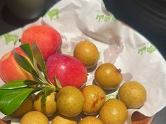 -季季山·云南野生菌火锅(上海首店)