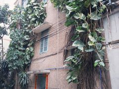 -嘉兴盐焗鸡(义龙路店)