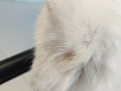 -怪兽屋·羊驼·猫咖·狗咖(俊华广场店)