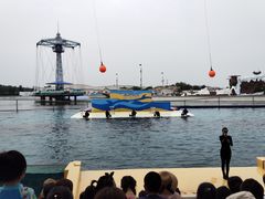 -秦皇岛乐岛海洋王国