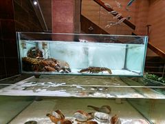 -樱之盛宴·蟹料理海鲜自助(前进大街店)
