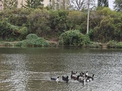 -前关湿地公园