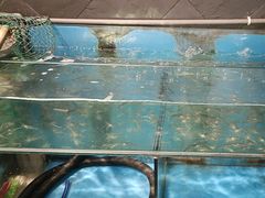 -鸿兴楼酒家嘉山路店