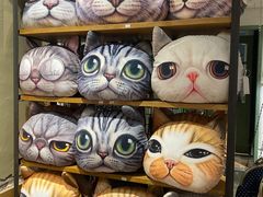 -猫咪博物馆(顶澳仔猫街店)