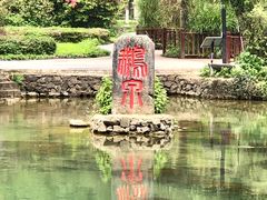 -靖西鹅泉风景区