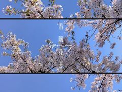 -龙美术馆(西岸馆)