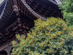 -钱王祠