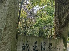 -柯岩风景区
